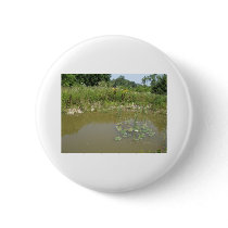 pond buttons by kathiscc pond buttons