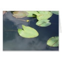 Pond cards