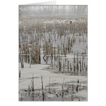 Pond Card