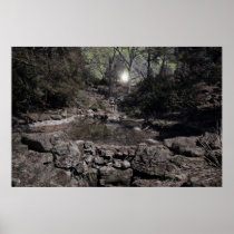 Pond Fantasy Posters