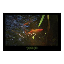 "Pond Fish" - Print