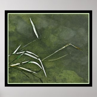 Pond Grass Print
