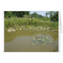 pond greeting cards