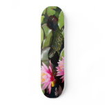 Pond Habitat Turtle Skateboard