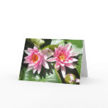 Pond Lillies Notecard