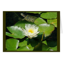 Pond Lilypad & Turtle Card
