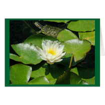 Pond Lilypad & Turtle Card
