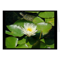 Pond Lilypad & Turtle Card