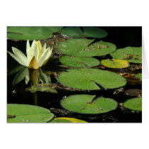 Pond Lilypads Stationery Card