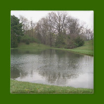 Pond Magnet