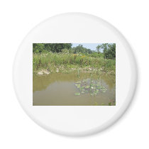 pond magnets by kathiscc pond magnets