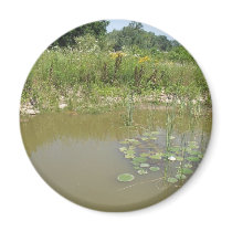 pond magnets by kathiscc pond magnets