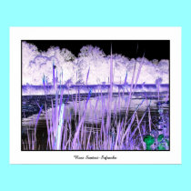 Pond (Negative/Inverted Image) posters by Artists4God Pond (Negative/Inverted Image) posters