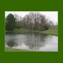 Pond Postcard