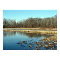 Pond posters