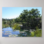 Pond Posters