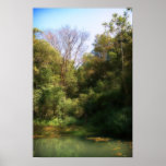 Pond posters