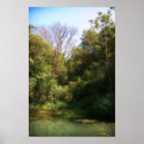 Pond Print