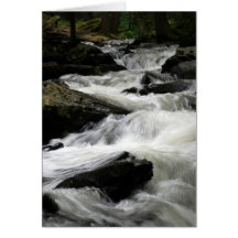 Pond Run Creek Greeting Card