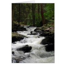 Pond Run Creek Greeting Cards