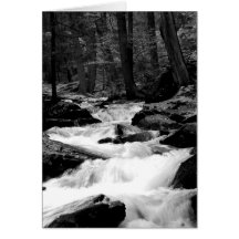 Pond Run Creek Greeting Cards