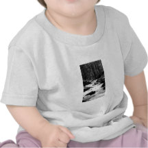 Pond Run Creek T Shirt