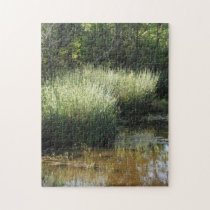 Pond Scene Puzzle puzzles