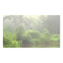 Pond Services Business Card Template