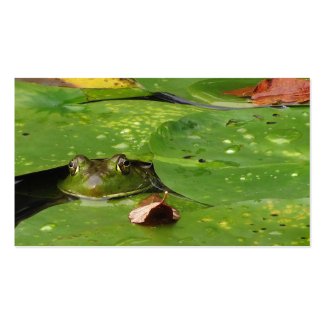Pond Services Business Card Templates