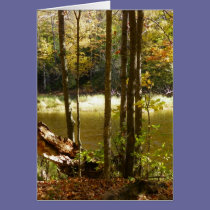 Pond Side cards