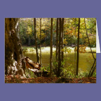 Pond Side cards