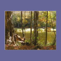 Pond Side postcards