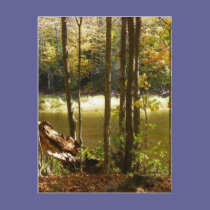 Pond Side postcards