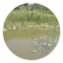 pond stickers by kathiscc pond stickers
