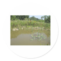 pond stickers by kathiscc pond stickers