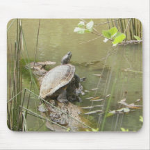 Pond Turtle Mousepads