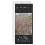 Pondberry, Lindera melissifolia habitat rack cards