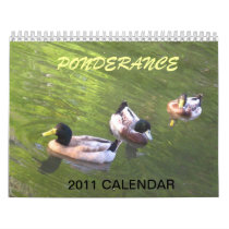 Ponderance ~ DUCK CALENDAR 2011