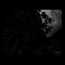 Pondering Gaze posters