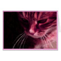 Pondering In Pink cards