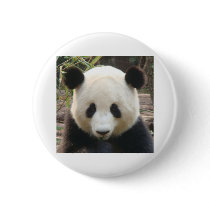 Pondering Panda buttons