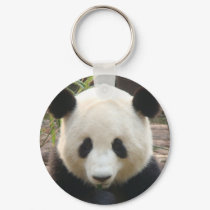 Pondering Panda keychains