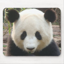 Pondering Panda Mouse Mat
