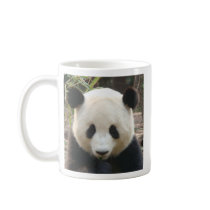 Pondering Panda mugs