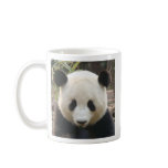 Pondering Panda mugs