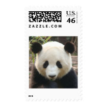 Pondering Panda postage