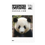 Pondering Panda postage