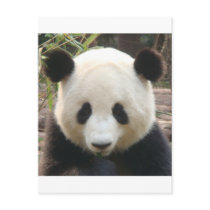 Pondering Panda postcards