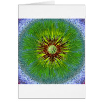 Ponderosa Sunburst Greeting Card