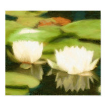 Pondlily Print posters